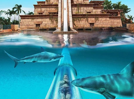 Aquaventure Dubai Image 3