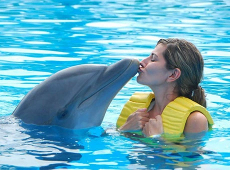 Dolphin Bay Dubai