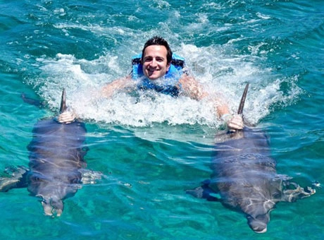 Dolphin Bay Atlantis