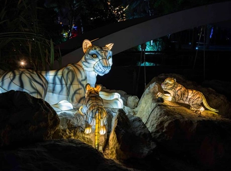 Dubai Glow Garden 3