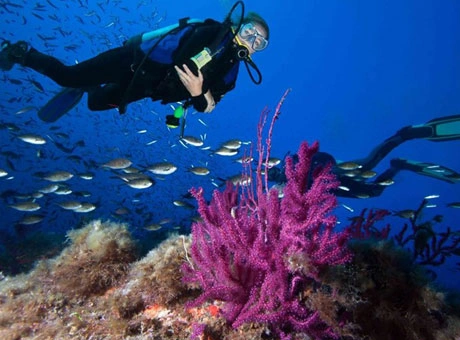 Scuba Diving Dubai