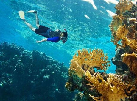 Scuba Diving Dubai