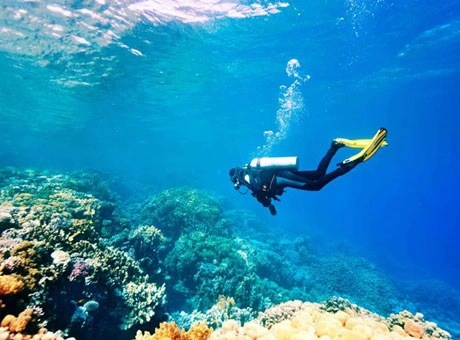 Scuba Diving Dubai