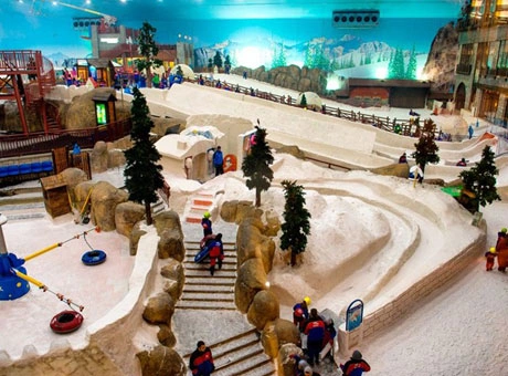 Ski Dubai Snow Penguins