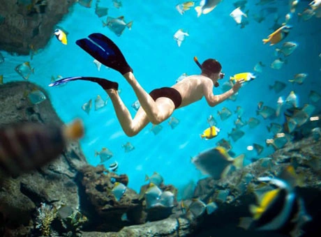 Snorkeling World Islands