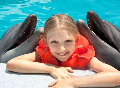Swim With Dolphin 1