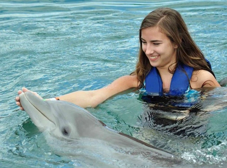 Swim With Dolphin 3